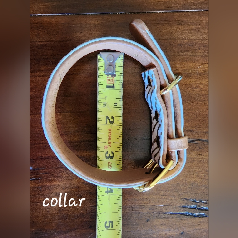 A SPECIAL FRIENDSHIP DOG COLLAR (11 to 14 inch) & Friendship Bracelet - Picture 12 of 12